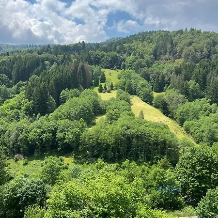 Mit Ausblick Dachterrasse Ideal Fuer Paare Und Hund Direkt Am Wanderweg 15 Min Zum Wasserfall Und Haengebruecke Lejlighed