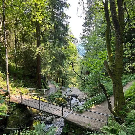 Bollenlodge - Mit Ausblick Und Lage Todtnau